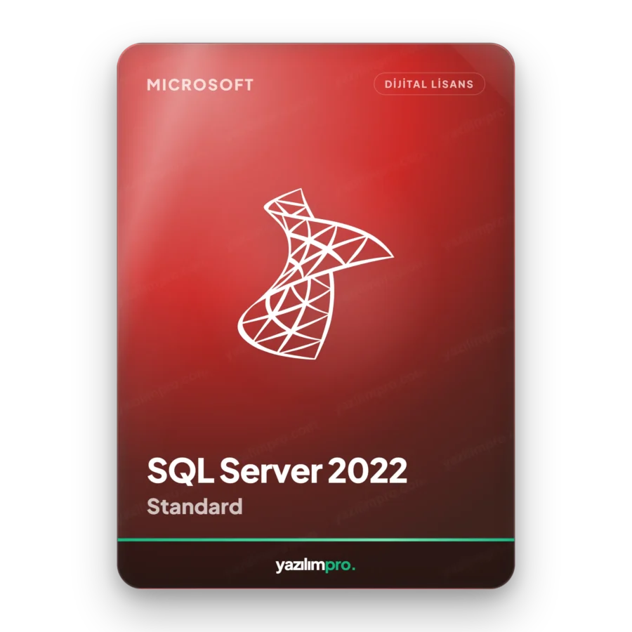 Microsoft Windows SQL Server 2022 Standard süresiz orijinal lisans anahtarı – anında dijital teslimat